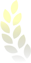 Flow Hero Leaf 2
